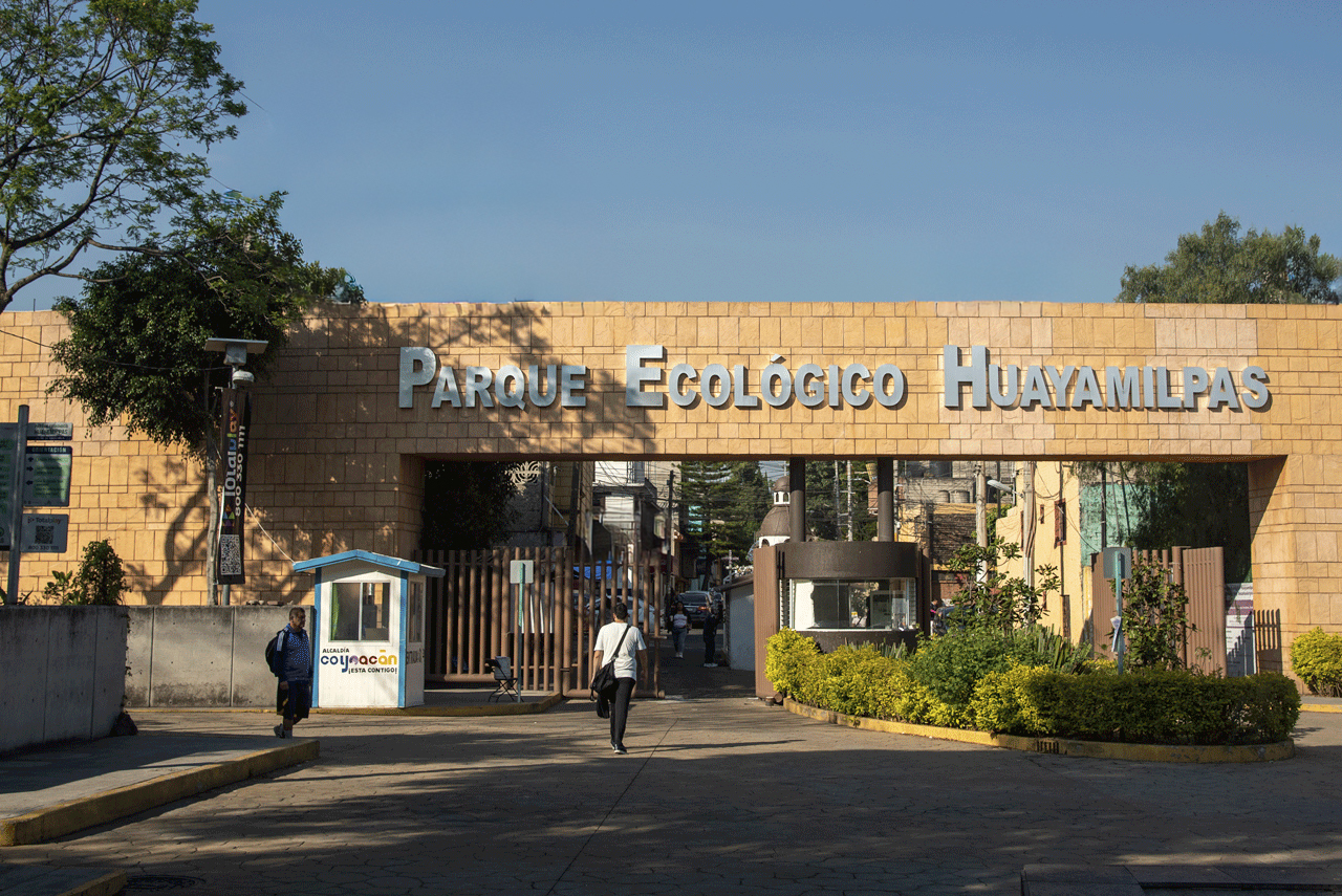 Entrada (1)