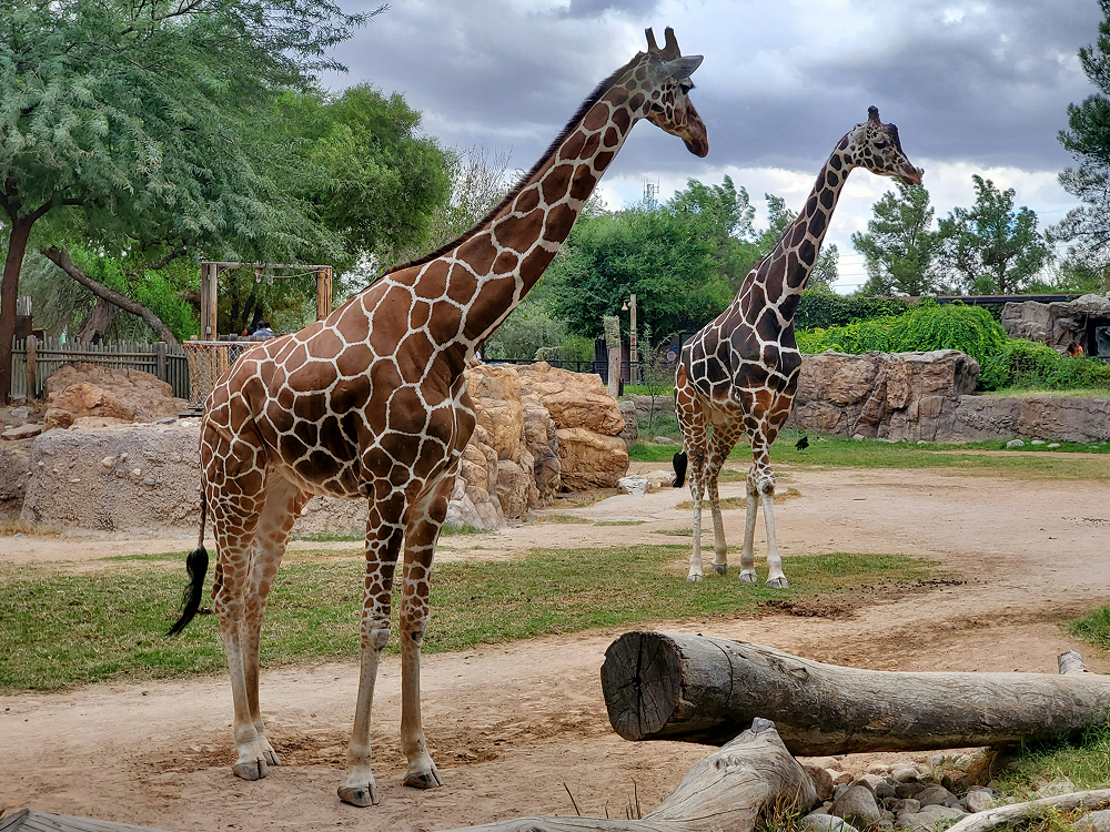 alex-kairoff-wroYJ7eOS18-unsplash 1
