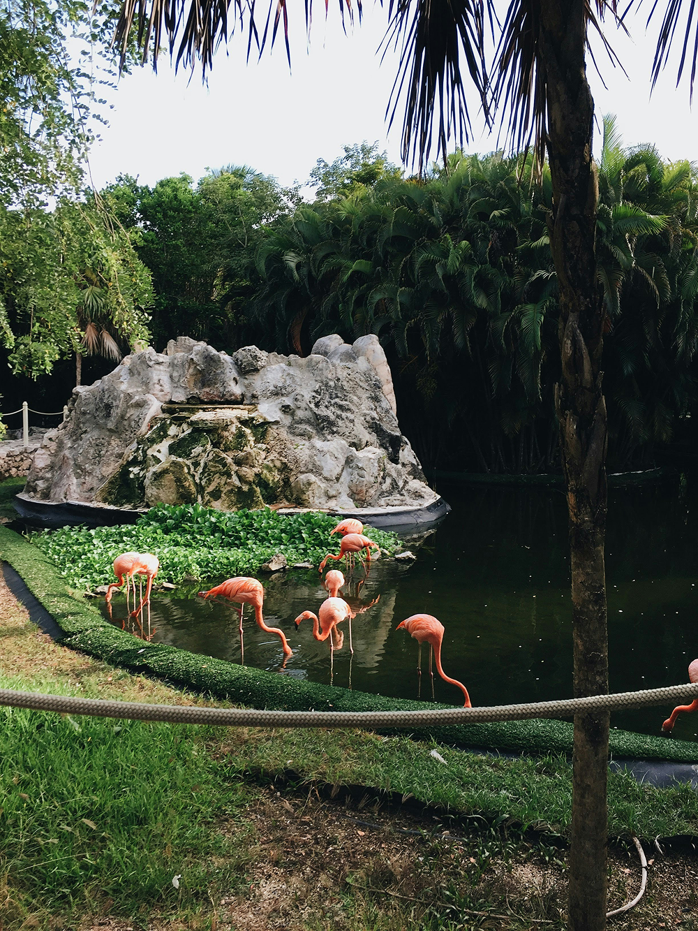 ana-san-juan-0yz_63F5nIk-unsplash 1