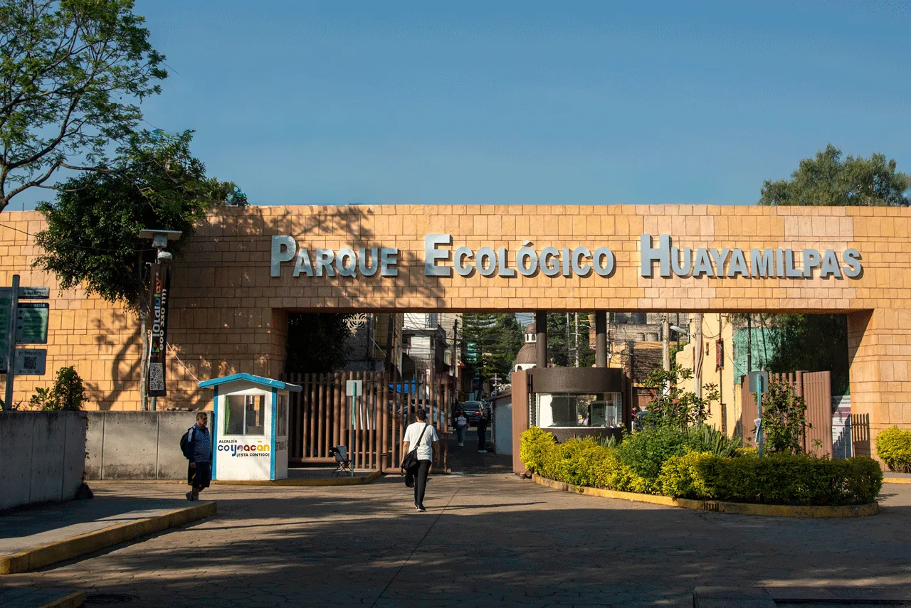 Entrada (1)